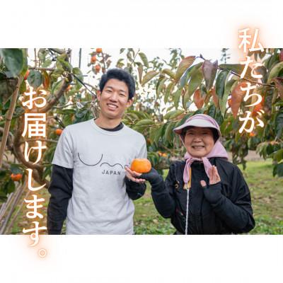 ふるさと納税 瑞穂市 うま杉の富有柿 L (岐阜県瑞穂市産富有柿) |  | 02