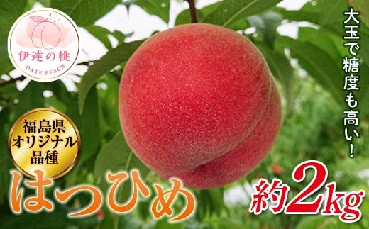 
                  【2026年出荷分先行予約】福島県産 はつひめ 約2kg (7～10玉) 斎藤果樹園 オリジナル品種 伊達の桃 桃 フルーツ 果物 もも モモ momo F20C-371
                