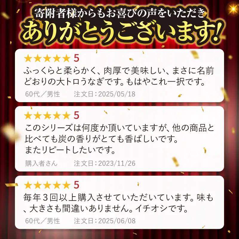 1466-2 大人気！鯉家の極上蒲焼「大トロうなぎ蒲焼（4尾）」 620g【国産・手焼き備長炭】 KN040-004-02-cpf 魚 鰻