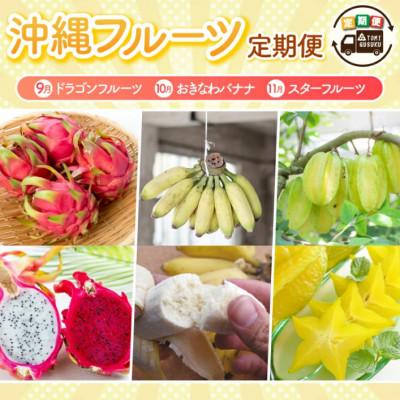 ふるさと納税 豊見城市 【発送月固定定期便】【2026年発送】沖縄フルーツ定期便(9・10・11月コース)全3回