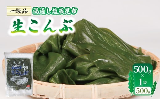 生こんぶ 500g×1袋 こんぶ 昆布 コンブ 三陸 国産 岩手県 大船渡