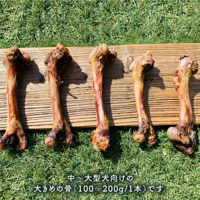 大型犬向け☆天然いのししのスモーク骨ガム3本【わんこin食堂】 [FCG052]