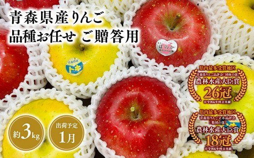 2027年1月発送　品種お任せ　贈答用　旬のりんご詰め合わせ３kg【青森県 平川市 そと川りんご園】
