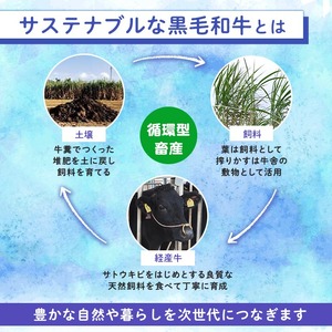 n372 梶屋牛ミンチ(計1kg・500g×2P) 黒毛和牛 牛肉 国産 九州産 鹿児島県産 肉 ビーフ ミンチ 冷凍 小分け 天然飼料 サステナブル 和牛 お祝い 【株式会社Calfields】