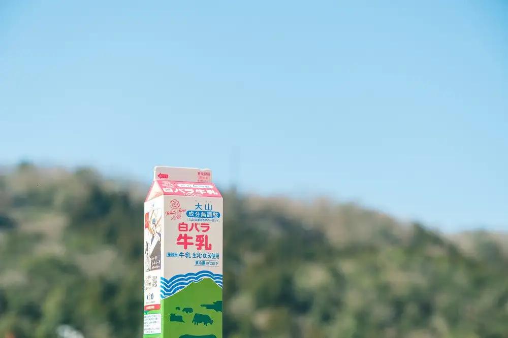お菓子 チーズアイスケーキ ヨーグルト専門店 「 三朝ヨーグルト 」ヨーグルトカッサータ 220g × 1個