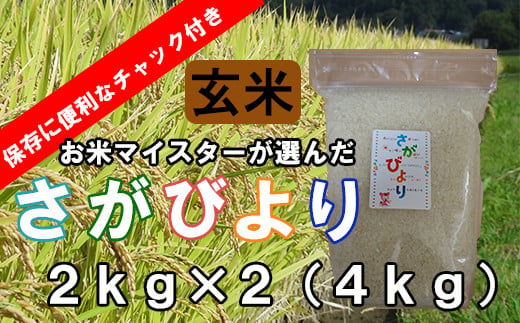 A-149【１等米限定 令和５年産】鹿島市産厳選さがびより 玄米 ４ｋｇ（２kg×２袋）