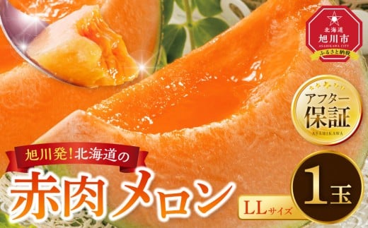 【26年発送先行予約】北海道産 赤肉メロン LLサイズ 1玉（計2.0kg以上）2026年6月下旬から発送開始予定 【 果物 くだもの フルーツ メロン 赤肉 赤肉メロン 旬 お取り寄せ 甘い 北海道産 旭川市 北海道 】_04564