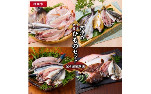 定期便 全4回 博多製造 四季のひものセット