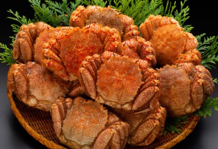 【期間限定！寄附額改定↓！】北海道産・ボイル毛がに10尾セット（4.5kg前後） ふるさと納税 かに 蟹 F4F-0460