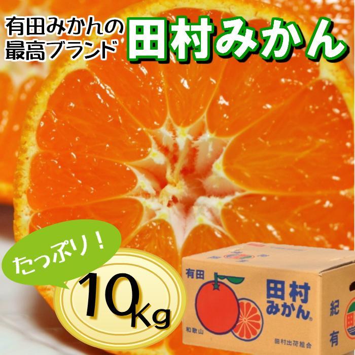 【ふるさと納税】高級みかん秀 田村みかん 約10kg 【2025年12月発送分】【NGT12w】 | みかん 蜜柑 フルーツ 果物 くだもの 食品 人気 おすすめ 送料無料