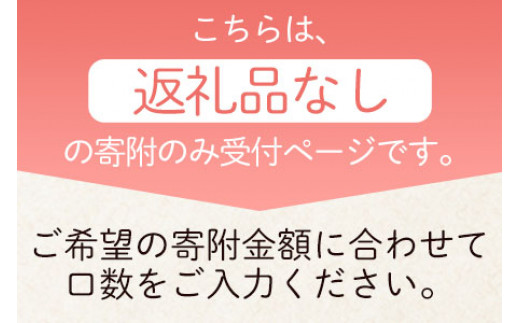 ＜【返礼品なし】3,000円寄附 寄附金受領証明書発行＞