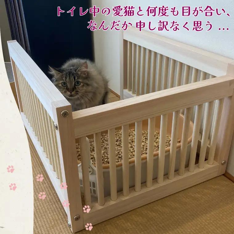CB001-1 にゃんがーど Blind M