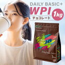 【ふるさと納税】DAILY BASIC+ WPI チョコレート 岐阜県 可児市 プロテイン タンパク質 低糖質 低脂質 健康食品 美容食品 溶けやすい ダイエット 甘すぎない 高タンパク質 お取り寄せ 送料無料