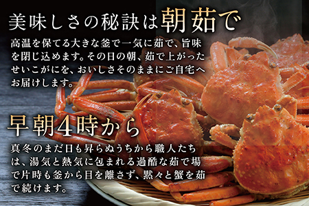 【冷蔵発送】越前がに（メス）「せいこがに」訳あり 150g前後 ×  10杯