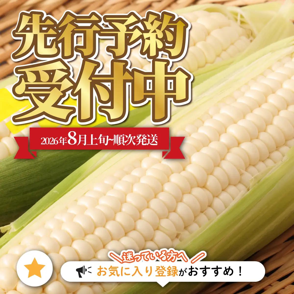 【先行予約】北海道七飯町産とうもろこし 「ホワイトショコラ」18本セット(令和8年8月上旬頃より順次発送) NABU006