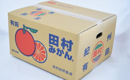 【ブランドみかん】田村みかん大玉約9kg(2Lサイズ) ※2025年11下旬~2025年12月下旬頃に順次発送 【tecj1037】