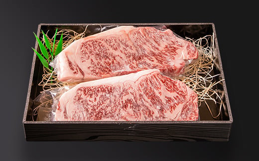 宮崎和牛サーロインステーキ 250g×2枚 500g 齋藤牛 牛肉 ステーキ ＜4.3-3＞