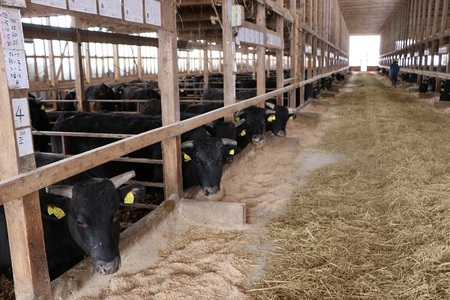 最上牛焼肉盛合せ(特上カルビ200ｇ+赤身焼肉用200ｇ)