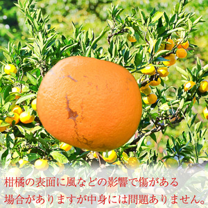 【順次発送中】 不知火 (デコポンと同品種) 約3kg 良品 みかん でこぽん 同品種 【NS0101】