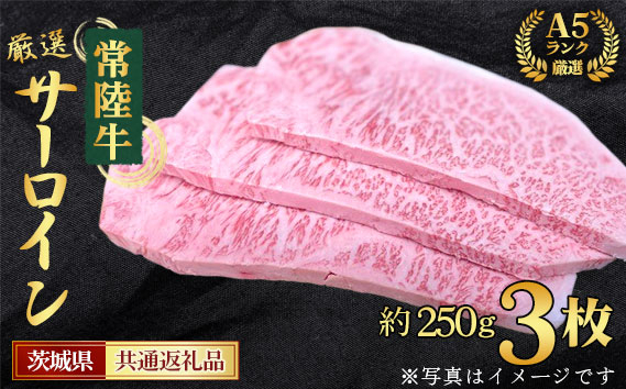 
No.460 【常陸牛】A5ランク厳選サーロイン（ステーキ用）約250g×3枚＜茨城県共通返礼品＞ ／ お肉 霜降り 赤身 茨城県
