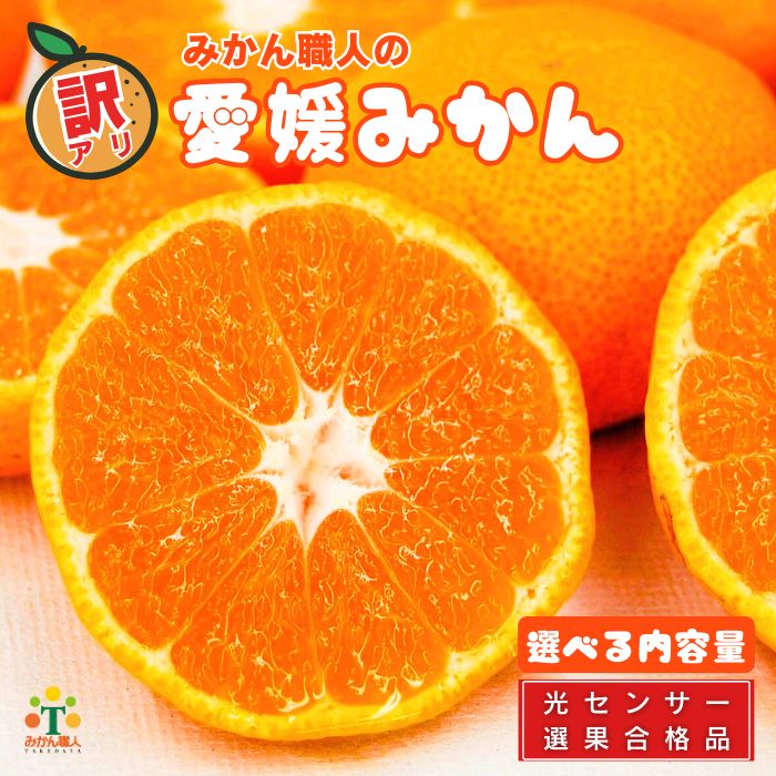 【ふるさと納税】 高評価★4.4 訳あり愛媛みかん 選べる内容量 1kg 3kg 5kg 2kg×2箱 ( 傷み保証 300g ) 光センサー選果 柑橘 果物 フルーツ 不揃い 傷 みかん ミカン 蜜柑 果実 温州みかん みかん職人武田屋 愛媛県 愛南町