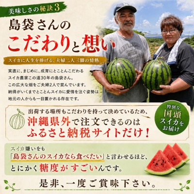 【2027年2月中旬から順次発送】島袋さんの冬スイカ 2玉(1玉3.5～4.5kg)【配送不可地域：離島】