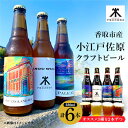 【ふるさと納税】小江戸佐原　クラフトビール6本セット【配送不可地域：離島・沖縄県】【1369926】