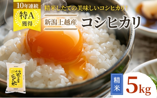 【令和8年7月下旬配送】令和7年産 新潟県上越市産 コシヒカリ 5kg こしひかり 精米したて！ 上越市 蛍の里