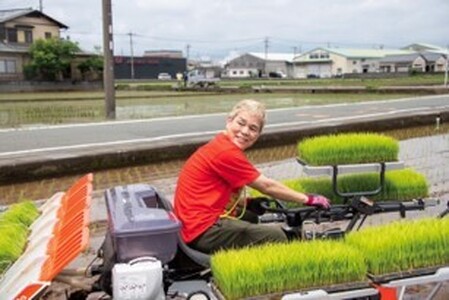 米  神取米５㎏  【米 5kg コメ こめ  神取忍 にこまる すぐ届く 】