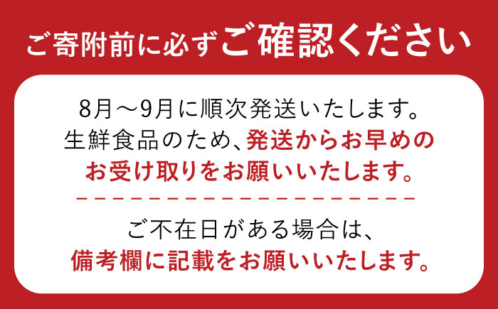 【2025年8月〜発送】【ジューシーな果肉！スッキリとした甘さ！】いちじく 1パック3玉×4パック 約1.1kg / ドーフィン イチジク いちじく 無花果 果物 フルーツ / 南島原市 / 本多農園