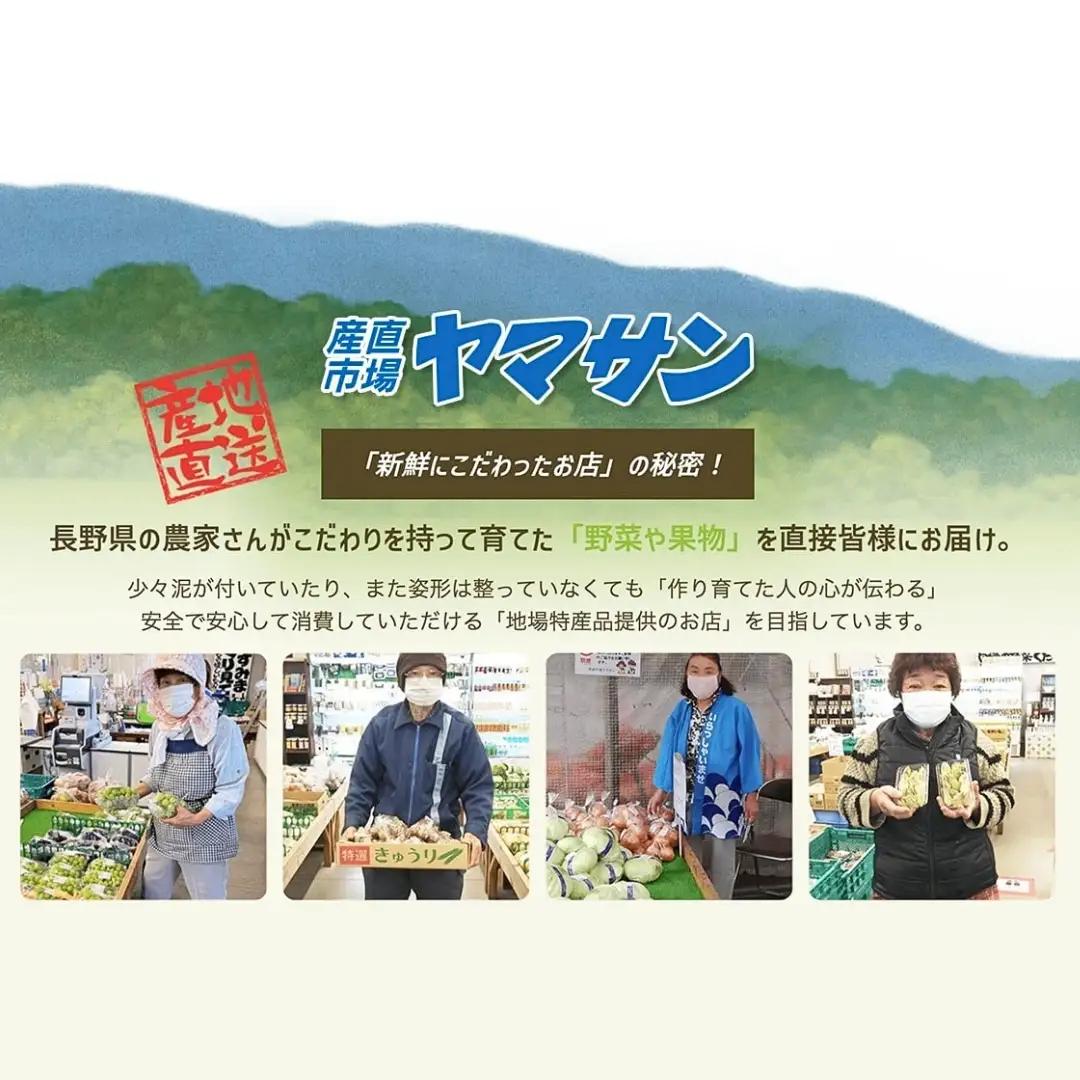【2026年先行予約】千曲市産 秋映 りんご 約3kg 訳あり 家庭用 | りんご