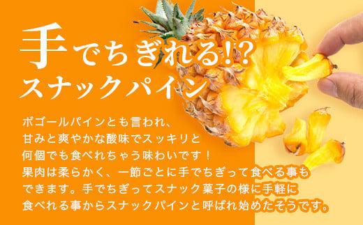 ＜期間限定 春フェア＞《2026年4月～6月発送》お試し用 石垣島産 完熟 スナックパイン 2玉 約1.4kg | パイン パイナップル ボゴール 沖縄 石垣島 石垣 八重山 期間限定 数量限定 産地