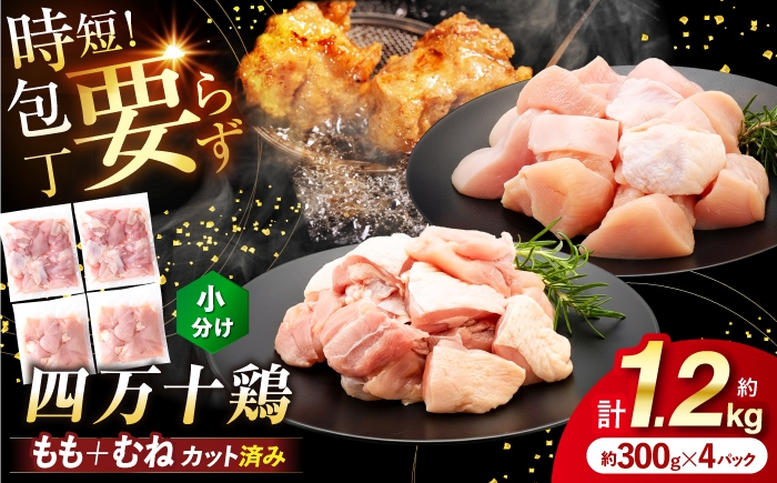 
                  【選べるお届け回数】四万十鶏「もも肉」「むね肉」 切身 計約1.2kg（約300g×4パック） 3回・6回・12回 カットでかんたん時短セット / 四万十鶏 もも肉 むね肉 小分け 冷凍 カット 時短 【三栄ブロイラー販売株式会社】 [ATDP024]
                