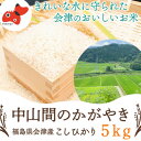 【ふるさと納税】【令和6年産・精米】柳津町黒沢地区産こしひかり「中山間のかがやき」5kg 〈10月末より順次発送〉【1535163】