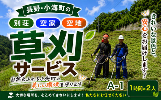 A-1「別荘・空家・空地」 草刈サービス 1時間×2人