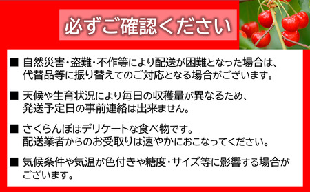 【令和6年産先行予約】 さくらんぼ 約1kg (特秀 L以上) 《令和6年6月中旬～発送》 『マルエ青果』 山形県 南陽市 [1115]