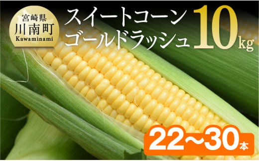 【令和7年発送】朝どれ！守部さんちのゴールドラッシュ10kg 【先行予約 数量限定 期間限定 とうもろこし トウモロコシ】