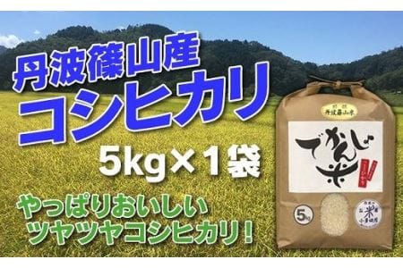 お米のおいしさ伝えたい！丹波篠山産コシヒカリ5kg×1 AD06