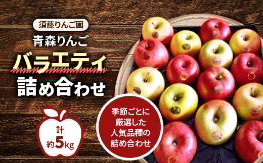 
                  ＜令和7年11月中旬発送開始＞青森りんご　バラエティ詰め合わせ　約5kg(家庭用)【1118135】
                