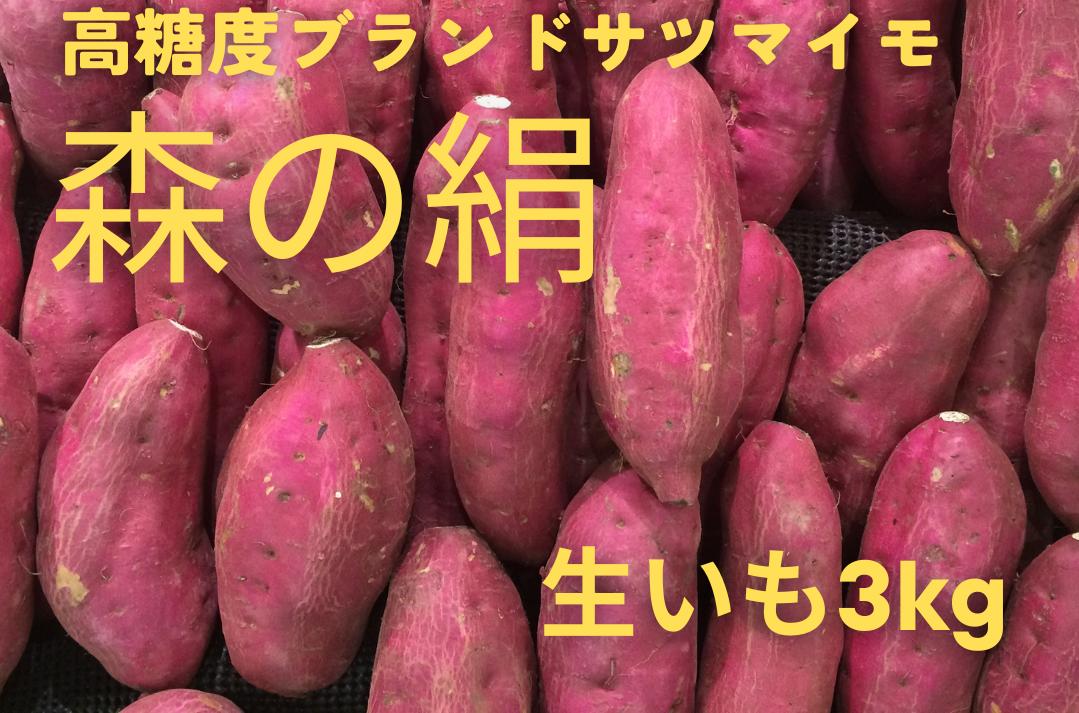 
            ブランドサツマイモ「森の絹」生イモ３kg【無農薬 高糖度 熟成 サツマイモ 生芋 さつまいも Ａ-24】
          