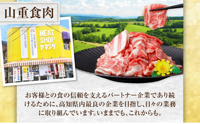 国産 豚肉 3種 詰め合わせ 総計約11kg 豚 切り落とし スライス しゃぶしゃぶ 【(有)山重食肉】 [ATAP042]