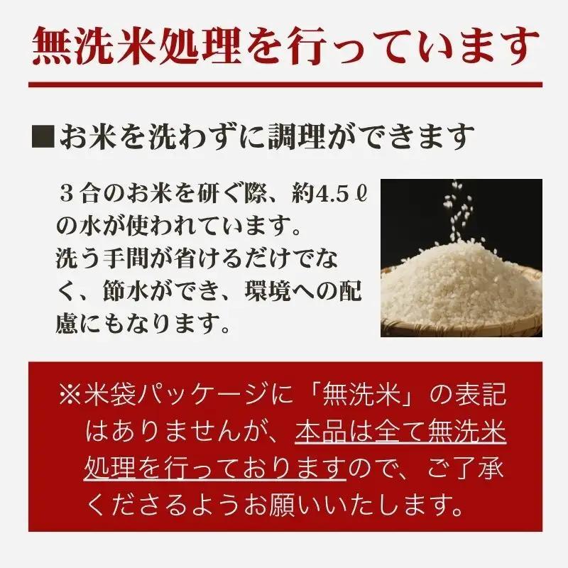 【8月下旬配送】上越市産 新潟 新之助 5kg しんのすけ お米 精米 米 ご飯
