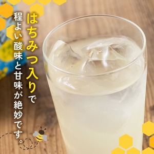 サンA はちみつレモン 125ml 紙パック 24本入り 【 飲料 ジュース はちみつ レモン れもん マイヤーレモン 九州産 紙パック 送料無料 】