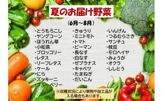 この中から7品以上発送します。※収穫状況によって果物が入る場合があります