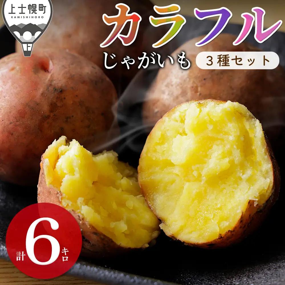 2026年産 先行予約 北海道産 カラフルじゃがいも 3種セット 計6kg 上士幌町加藤農場 馬鈴薯 芋 イモ 野菜 詰め合わせ　◆2026年12月配送予定