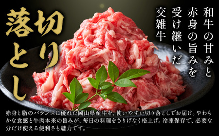 岡山県産牛 切り落とし 交雑牛 1kg お試し 大容量