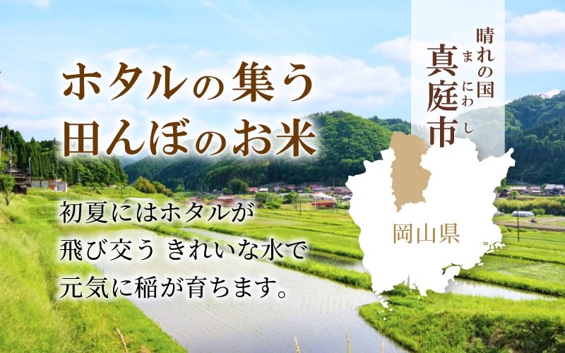 【令和7年産先行予約】＜定期便全６回＞ 令和７年新米 真庭市産 ひとめぼれ 無洗米 ５kg×６回（定期便）/ お米 岡山県 真庭市 無洗米 米 ヒトメボレ ひとめぼれ 人気 ブランド米 新米 令和7年