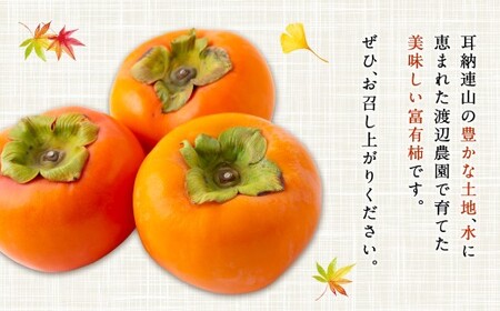 【先行予約】渡辺農園 富有柿 12玉前後 2026年11月下旬から12月上旬 出荷予定