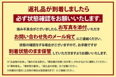 【先行予約】【2026年3月下旬から順次発送】尾州常滑フルーツトマト麗妃 トマト フルーツトマト 麗妃 れいき リコピン 新鮮野菜 太陽の恵み 濃厚 完熟 トマト料理 トマト鍋 愛知県産 国産 お取り