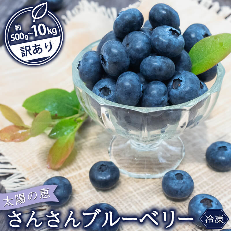 【ふるさと納税】 【早期予約開始 2026年5月末より順次発送】 ブルーベリー 訳あり 冷凍 選べる 容量 500g 1kg 2kg 3kg 5kg 10kg 高知 須崎市 果物 フルーツ